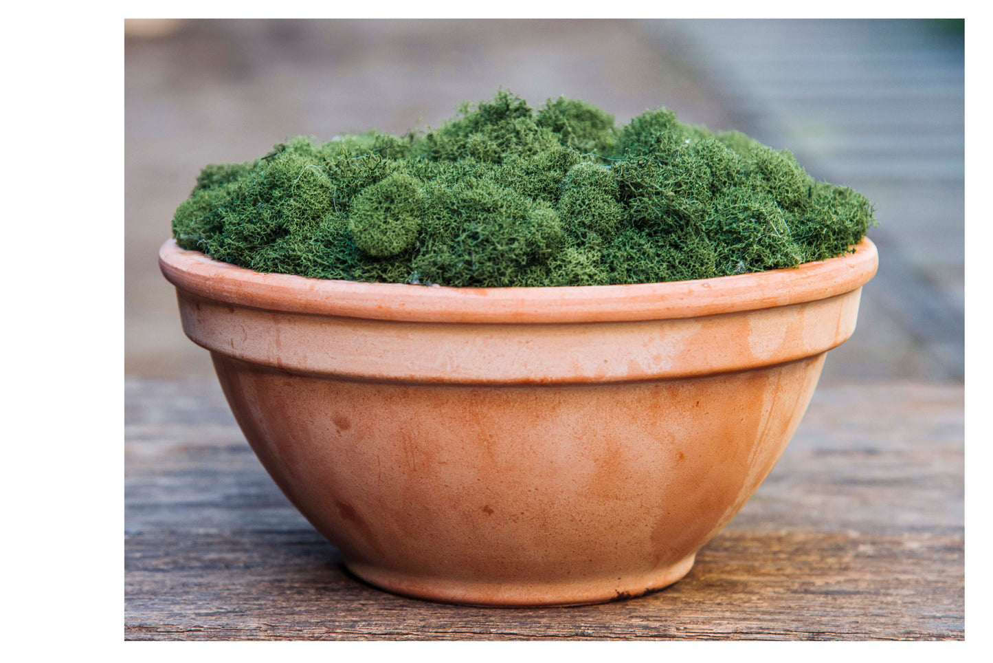 Terracotta Moss centerpiece.